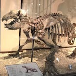 国立科学博物館に投稿された画像（2021/7/11）