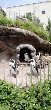 サンシャイン水族館に投稿された画像（2021/7/11）