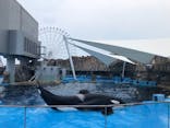 名古屋港水族館に投稿された画像（2021/7/11）