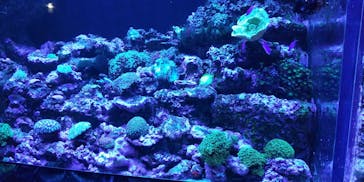 マクセル アクアパーク品川に投稿された画像（2021/7/11）