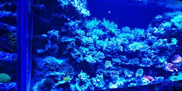 マクセル アクアパーク品川に投稿された画像（2021/7/11）