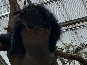 神戸どうぶつ王国に投稿された画像（2021/7/11）