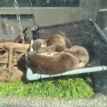 サンシャイン水族館に投稿された画像（2021/7/11）