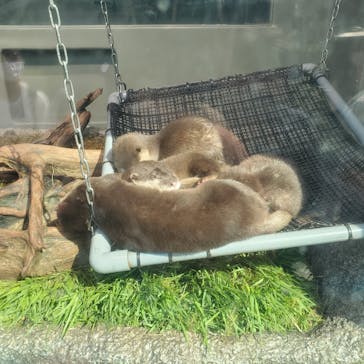 サンシャイン水族館に投稿された画像（2021/7/11）