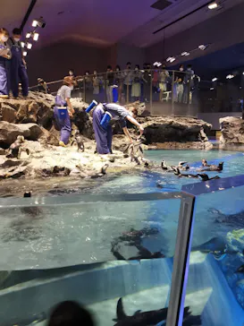 すみだ水族館に投稿された画像（2021/7/11）