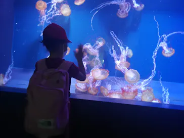 すみだ水族館に投稿された画像（2021/7/11）