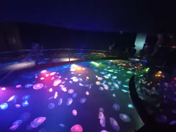 すみだ水族館に投稿された画像（2021/7/11）