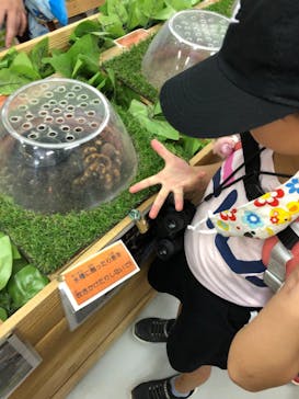 しろとり動物園に投稿された画像（2021/7/11）