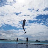 四国水族館に投稿された画像（2021/7/11）