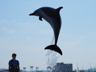 四国水族館に投稿された画像（2021/7/11）