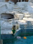 天王寺動物園に投稿された画像（2021/7/11）