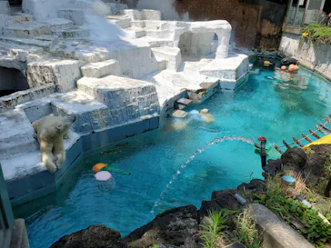 天王寺動物園に投稿された画像（2021/7/11）