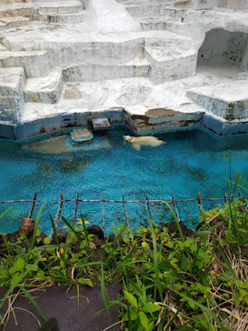 天王寺動物園に投稿された画像（2021/7/11）