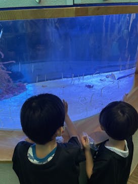 名古屋港水族館に投稿された画像（2021/7/11）
