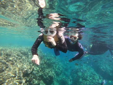 MalDive（モルダイブ）に投稿された画像（2021/7/11）