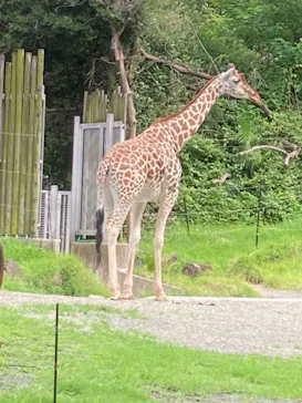 天王寺動物園に投稿された画像（2021/7/11）