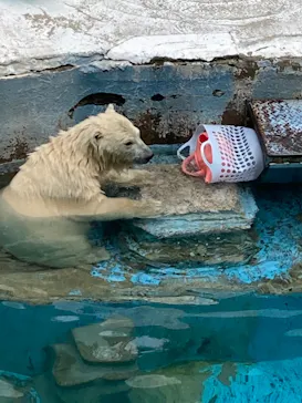 天王寺動物園に投稿された画像（2021/7/11）