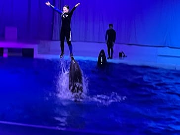 アクアワールド茨城県大洗水族館に投稿された画像（2021/7/11）