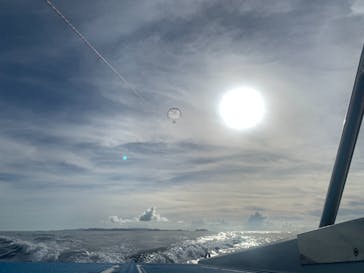 マリンクラブ ベリー 那覇店に投稿された画像（2021/7/11）