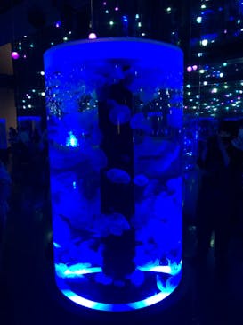 マクセル アクアパーク品川に投稿された画像（2021/7/11）