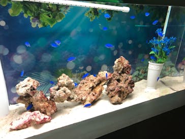 マクセル アクアパーク品川に投稿された画像（2021/7/11）