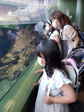 アクアワールド茨城県大洗水族館に投稿された画像（2021/7/11）