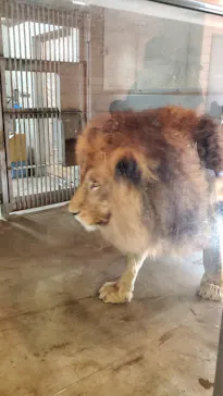 天王寺動物園に投稿された画像（2021/7/11）