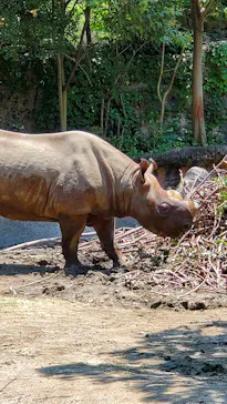 天王寺動物園に投稿された画像（2021/7/11）