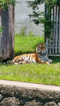 天王寺動物園に投稿された画像（2021/7/11）