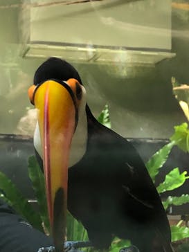 カワスイ 川崎⽔族館に投稿された画像（2021/7/11）