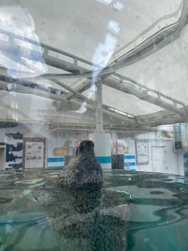 京都水族館に投稿された画像（2021/7/12）