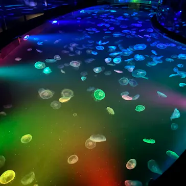 すみだ水族館に投稿された画像（2021/7/12）