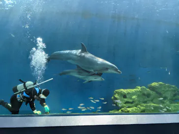 横浜・八景島シーパラダイスに投稿された画像（2021/7/12）