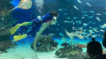 サンシャイン水族館に投稿された画像（2021/7/12）