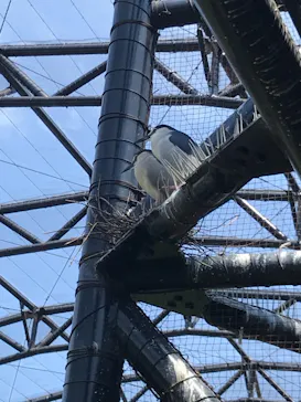 天王寺動物園に投稿された画像（2021/7/12）