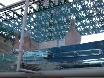 サンシャイン水族館に投稿された画像（2021/7/12）