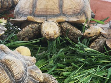 株式会社Gに投稿された画像（2021/7/12）