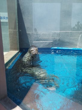 株式会社Gに投稿された画像（2021/7/12）