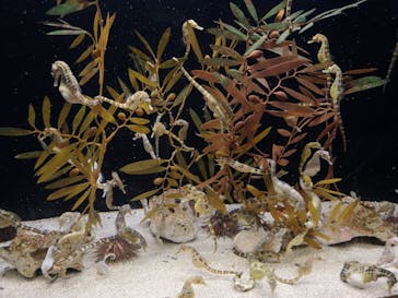 株式会社Gに投稿された画像（2021/7/12）