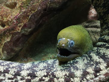 株式会社Gに投稿された画像（2021/7/12）