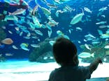 サンシャイン水族館に投稿された画像（2021/7/12）