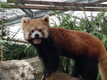 神戸どうぶつ王国に投稿された画像（2021/7/12）