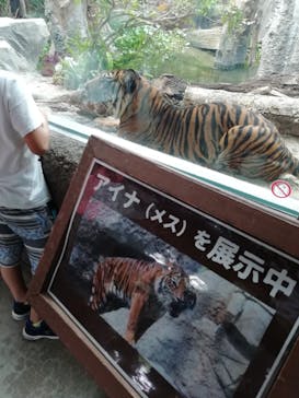 神戸どうぶつ王国に投稿された画像（2021/7/12）