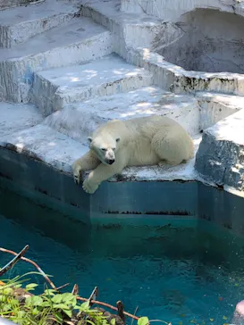 天王寺動物園に投稿された画像（2021/7/12）