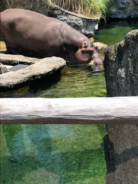 天王寺動物園に投稿された画像（2021/7/12）