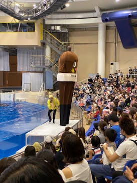 アクアワールド茨城県大洗水族館に投稿された画像（2021/7/12）