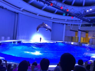 アクアワールド茨城県大洗水族館に投稿された画像（2021/7/12）