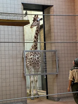 天王寺動物園に投稿された画像（2021/7/12）