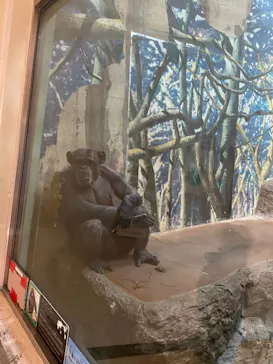 天王寺動物園に投稿された画像（2021/7/12）