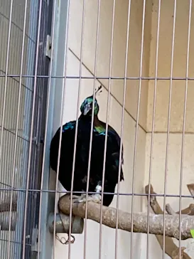 天王寺動物園に投稿された画像（2021/7/12）